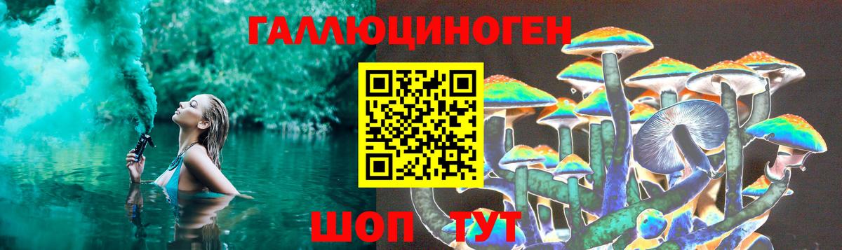Псилоцибиновые грибы Psilocybine cubensis Бутурлиновка
